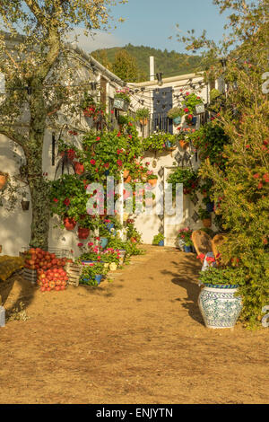 Malvern, Worcestershire, UK 7. Mai 2015.  Eine andalusische Moment stimmte das beste beim Frühlingsfest RHS Malvern Garten zeigen.  Der Garten entworfen und gebaut von Villaggio Verde bringt die Farben und Gefühl des Mittelmeers mit einer spanischen Kleinstadt komplett mit seinen kleinen Gassen und kreativen Bepflanzung. Bildnachweis: Ian Thwaites/Alamy Live-Nachrichten Stockfoto