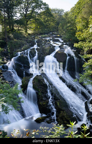 Schlucken Sie fällt, Betws-y-Coed, Snowdonia-Nationalpark, Conwy, Wales, Vereinigtes Königreich, Europa Stockfoto