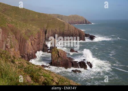 Blick zur alten Burg Kopf, in der Nähe von Manorbier, Pembrokeshire Coast National Park, Pembrokeshire, Wales, Vereinigtes Königreich, Europa Stockfoto