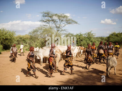 Springen von den Bullen Zeremonie, Hamar Stamm Turmi, Omo-Tal in Äthiopien, Afrika Stockfoto