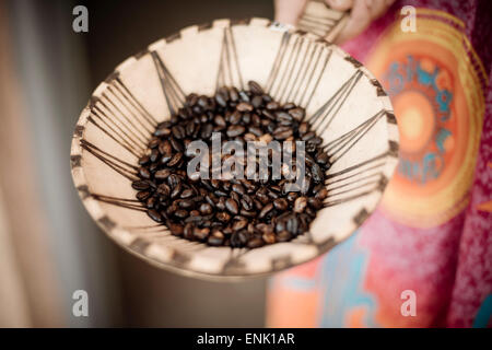 Kaffeebohnen, Omo-Tal in Äthiopien, Afrika Stockfoto