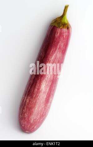 Eine rohe Auberginen auf ein weißes Studio-Hintergrund. Stockfoto