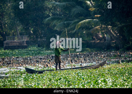 Eine Ente Landwirt Paddel in seinem Einbaum Boot, runden seine große Herde von Hausenten auf Kerala Backwaters in Kerala Stat Stockfoto