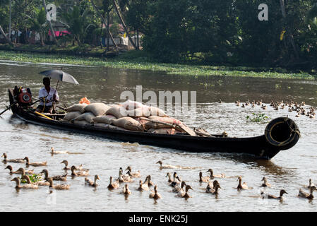 Ein Bootseigner Überführung eine Ladung Säcke Reis Getreide in seinem Boot auf den Backwaters von Kerala im Bundesstaat Kerala, Indien Stockfoto