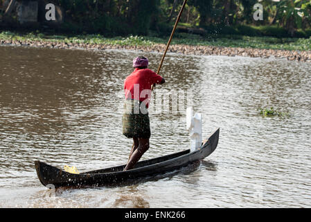 Eine Ente Landwirt Paddel in seinem Einbaum-Boot, runden seine große Herde von Hausenten auf Kerala Backwaters in Kerala Zustand Stockfoto