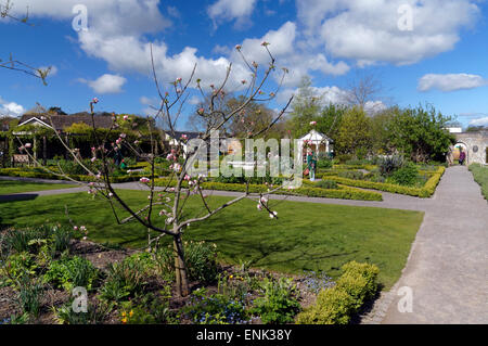 Physic Garden, Cowbridge, Vale von Glamorgan, South Wales, UK. Stockfoto