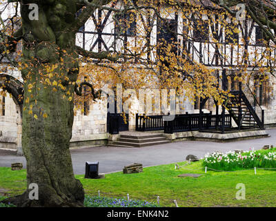 Buche in Hospitium in Spring Gardens Museum York Yorkshire England Stockfoto