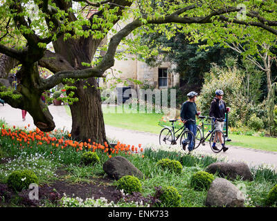 Radfahrer, die Fahrräder mit Kaffee zum mitnehmen auf einem Pfad im Museum Gärten York Yorkshire England Machenschaften Stockfoto