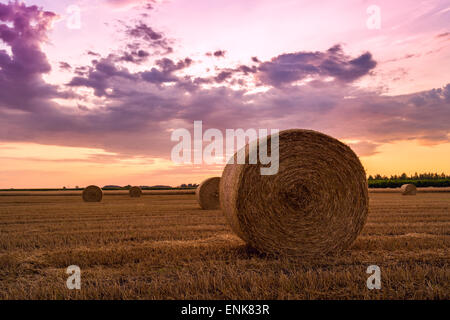 Sonnenuntergang über Feld-Hof mit Heuballen in Ungarn Stockfoto