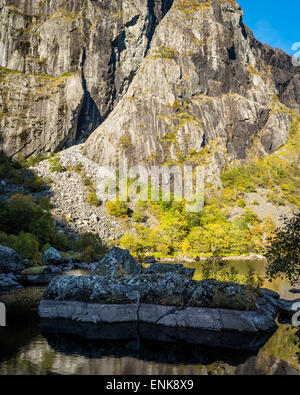 Herbstliche Sonnenlicht in Måbødalen, Norwegen Stockfoto