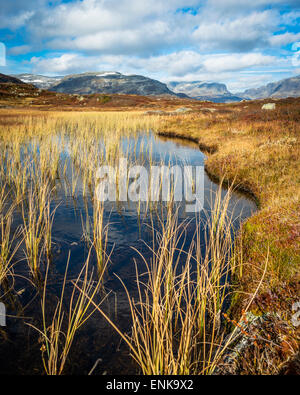 Im Haukelifjell Gebirge südlich von Haukeliseter, Norwegen Stockfoto