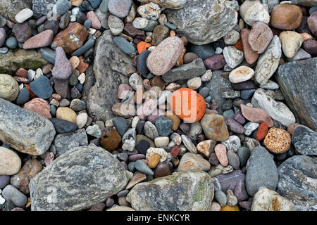 Kies und Steinen am Strand an der Küste von Northumberland. UK Stockfoto