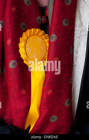 Rosette für jede Partei. Blau für die Konservativen, rot für Labour, Orange für die Liberaldemokraten. Stockfoto