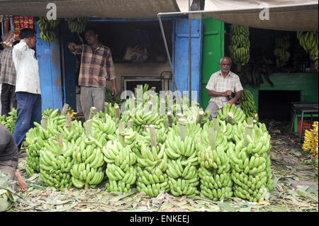 Mysore, Indien - 24. Januar 2015: indische Anbieter neigen dazu, ihre Banane Stall im Devaraja-Obstmarkt in Mysore, Indien Stockfoto