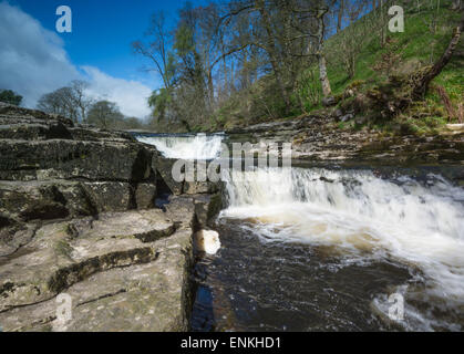 Stainforth Force Wasserfall in den Yorkshire Dales Stockfoto