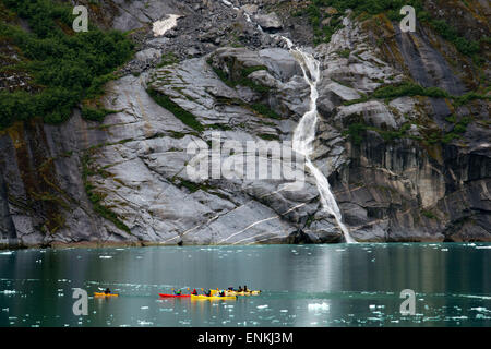 Passagiere der Kreuzfahrt Schiff Safari Endeavour Kajakfahren an Furten Terror, Endicott Arm Tongass National Forest, Alaska, USA. CLI Stockfoto