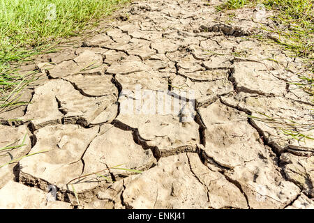 Trockene rissige Erde im Lawice Kielpinskie Nature Reserve in der Nähe von Kepa Kielpinska, Polen Stockfoto