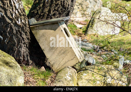 Verwitterte Nistkasten für Wasservögel, die von einem Baum herunter gefallen hat. Gebüsch und Granit Steinen auf dem Boden. Stockfoto