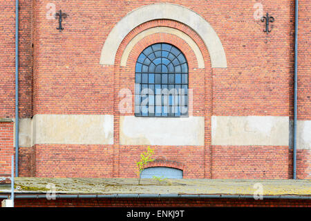 Alten Backsteingebäude in einem Industriegebiet. Ein feines Glasfenster mit Steinbogen drüber. Kleiner Baum beginnen zu wachsen auf Dach der bui Stockfoto