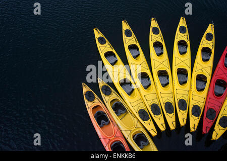 Seekajaks neben Kreuzfahrtschiff Safari Endeavour in der Nähe von Reid Gletscher im Glacier-Bay-Nationalpark, Alaska, USA. Alle unsere Reisen uns Stockfoto