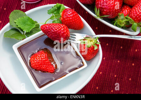 Erdbeeren und Schokolade in meinem Garten Stockfoto