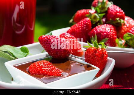 Erdbeeren und Schokolade in meinem Garten Stockfoto