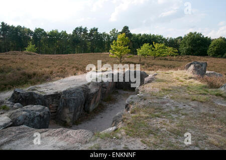 megalithische Grabstätte, Oldendorfer Totenstatt, Lueneburger Heide, Niedersachsen, Deutschland Stockfoto