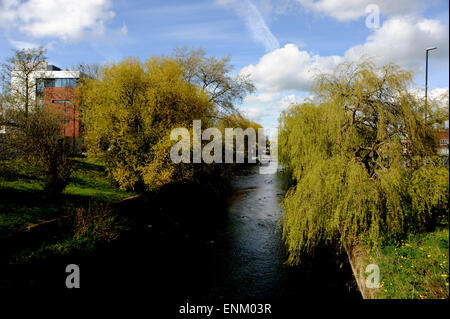 Darlington County Durham UK Stockfoto