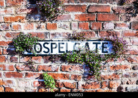 Unkraut Pflanze überdachte Strasse Straßenname Zeichen Zeichen 'Gospelgate' Louth Lincolnshire UK England ungeliebt Links zu verrotten Stockfoto