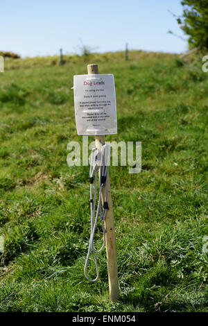 Ditchling Beacon Nature Reserve auf South Downs Way Sussex UK - Hund führt für Hundebesitzer kostenlos nutzen, wenn es Schafe gibt Stockfoto