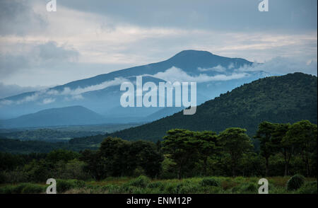 Oreums auf Insel Jeju, Südkorea Stockfoto