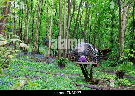 Ein Zelt & Glockenblumen in der "Öko-Dorf" in Runnymede Wald. Eine Gemeinschaft von Menschen, die einen alternativen Lebensstil eingerichtet. Stockfoto