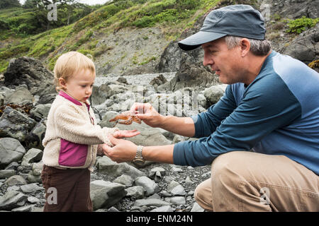 Vater stellt Seestern in Kleinkind Mädchen Hand in der Nähe von felsigen Tidepools Patrick's Point State Park, Kalifornien. Stockfoto