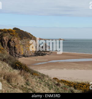 Lunan bay Schottland april 2015 Stockfoto