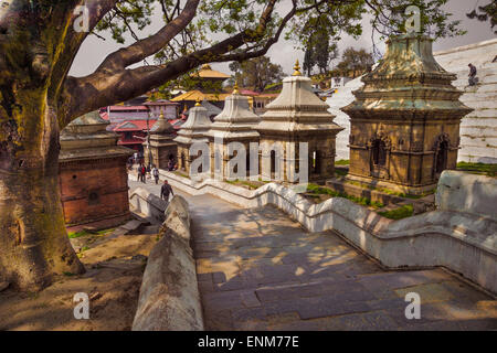 Chaityas Pashupatinath Tempel in Kathmandu, Nepal Stockfoto