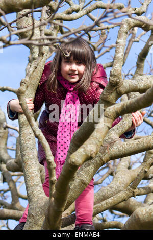 Mädchen im Baum Stockfoto