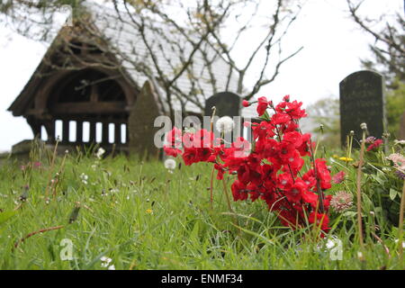 Madron-Friedhof mit Gräbern, Grabsteinen und Gedenkstätten Stockfoto