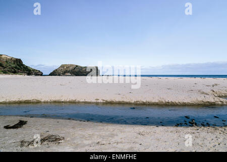 Strauchdiebe Bay, Cape Schanck, Victoria, Australien Stockfoto