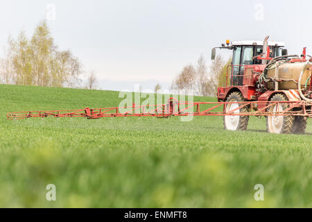 Sprühen die Herbizide auf der grünen Wiese Stockfoto