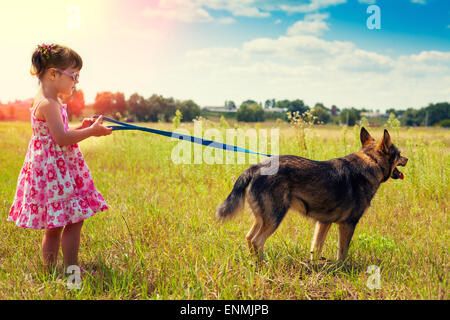 Kleines Mädchen mit großen Hund zu Fuß auf der Wiese Stockfoto