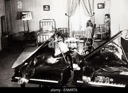 Un Chien Andalou, Frankreich 1929, aka: Ein Andalusischer Hund, Regie: Luis Bunuel, Monia: Pierre Batcheff, Simone Mareuil Stockfoto