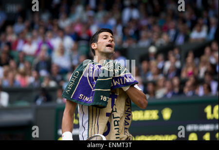 Novak Djolovic während der Mens singles letzte The Meisterschaften Wimbledon 2014 The All England Lawn Tennis & Croquet Club Wimble Stockfoto