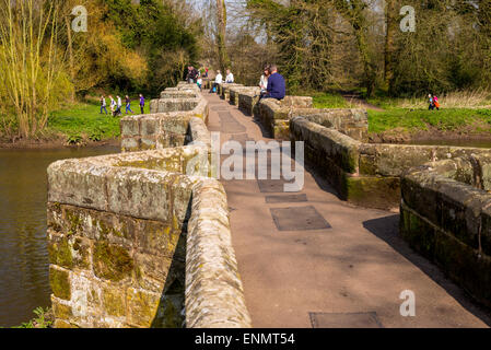 Die Essex Lastesel-Brücke über den Fluss Trent in der Nähe von großen Bridgeford Staffordshire, genutzt von Wanderern und einheimischen Dorf. Stockfoto