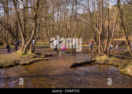 Sringtime Wochenende Wanderer werden auf Cannock Chase, die unter Verwendung des Sprungbretts überqueren ins Tal Sherbrooke gezeichnet. Stockfoto