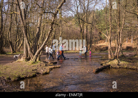 Sringtime Wochenende Wanderer werden auf Cannock Chase, die unter Verwendung des Sprungbretts überqueren ins Tal Sherbrooke gezeichnet. Stockfoto