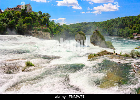 Rheinfall - der grösste Wasserfall Europas, befindet sich in Schaffhausen, Schweiz. Zwei massive Felsen in der Mitte der Fluss-Angebot Stockfoto