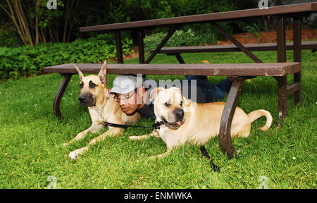 Ein Mann spielt mit seinen zwei Hunden im Park unter einem Picknick-Tisch liegen. Stockfoto