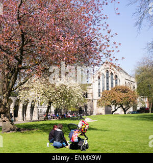 Neunhundert Jahre Geschichte als Kulisse für ein Treffen im Park des Dekans, York, Yorkshire, England Stockfoto