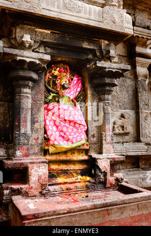 Ein Schrein am Arunachaleswar Tempel, Tiruvannamalai. Stockfoto