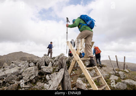 Wanderer klettern Minffordd Pfad Leiter Stil auf Craig Cau in Cadair Idris (Cader Idris) Bereich Berg in Dolgellau Wales Snowdonia GROSSBRITANNIEN Stockfoto